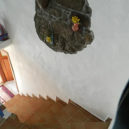 Doga Koy Evi Habitación en casa particular *